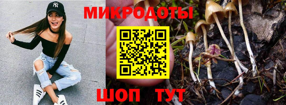 Галлюциногенные грибы Magic Shrooms Джанкой