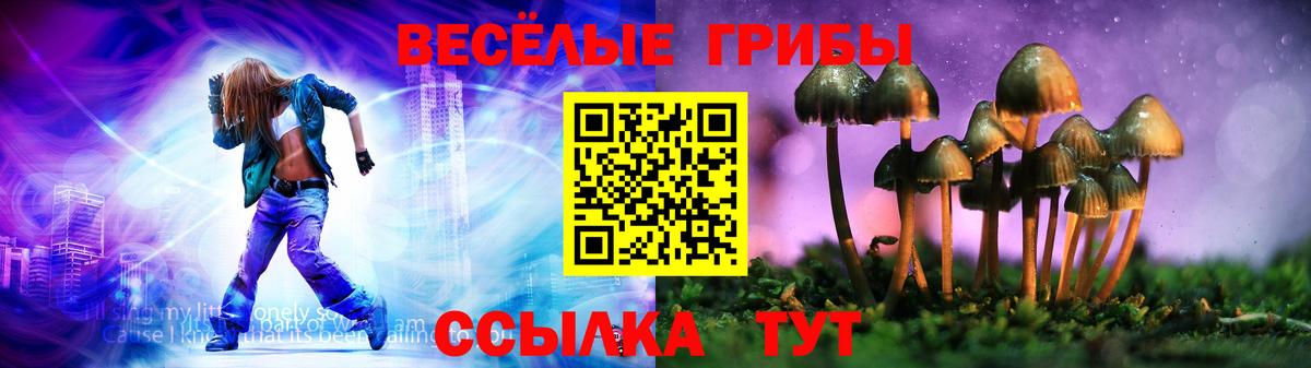 Псилоцибиновые грибы Psilocybe  Вход с VPN  Галлюциногенные грибы GOLDEN TEACHER  Джанкой 